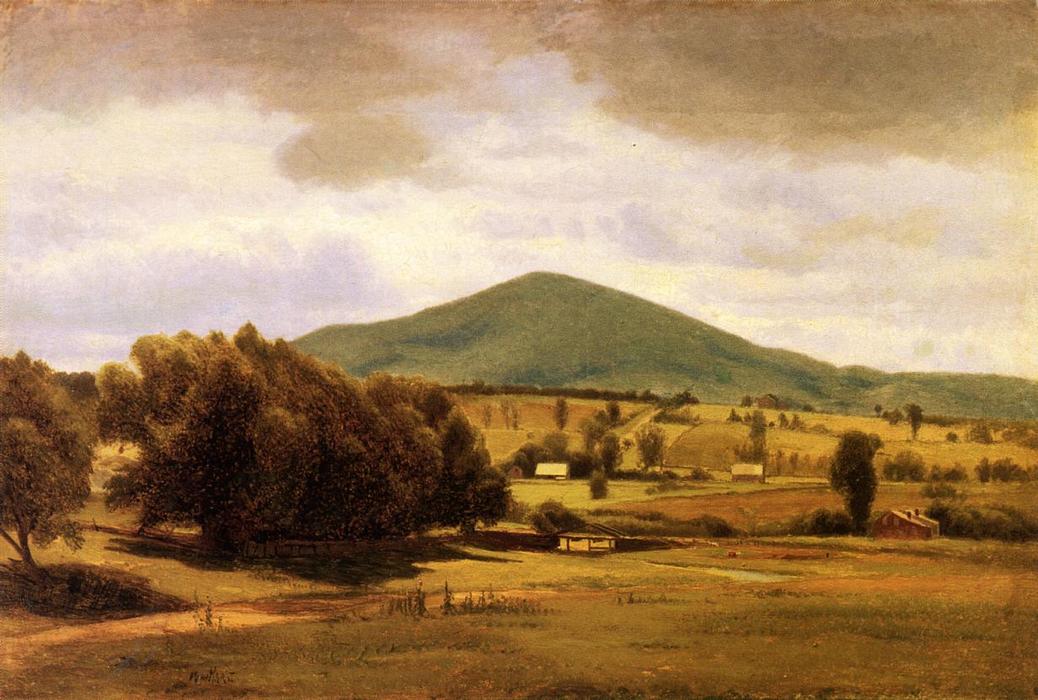 Wikioo.org - The Encyclopedia of Fine Arts - Painting, Artwork by William Hart - View of New Hampshire