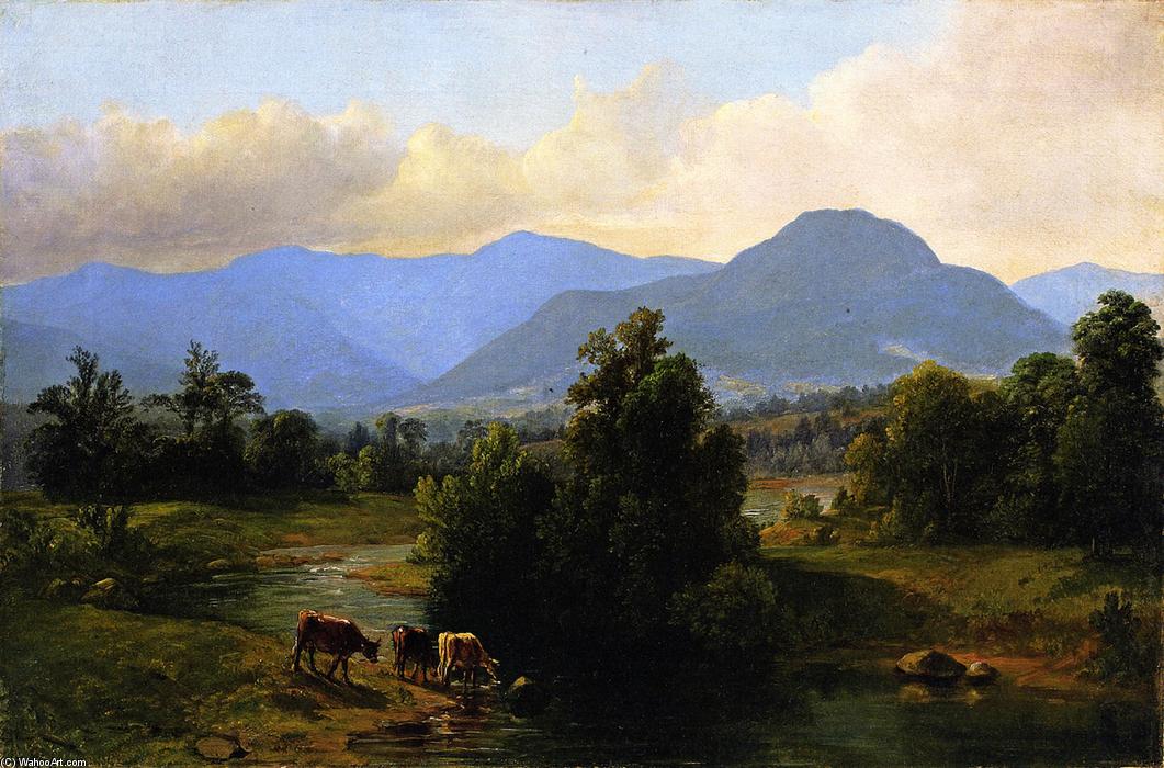 Wikioo.org - The Encyclopedia of Fine Arts - Painting, Artwork by Asher Brown Durand - View of the Shandaken Mountains, New York