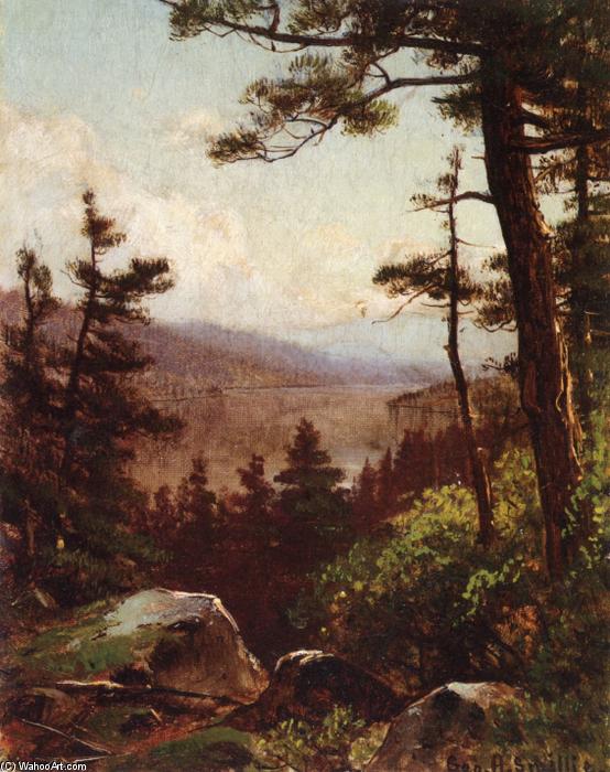 WikiOO.org - دایره المعارف هنرهای زیبا - نقاشی، آثار هنری George Henry Smillie - View of the Valley