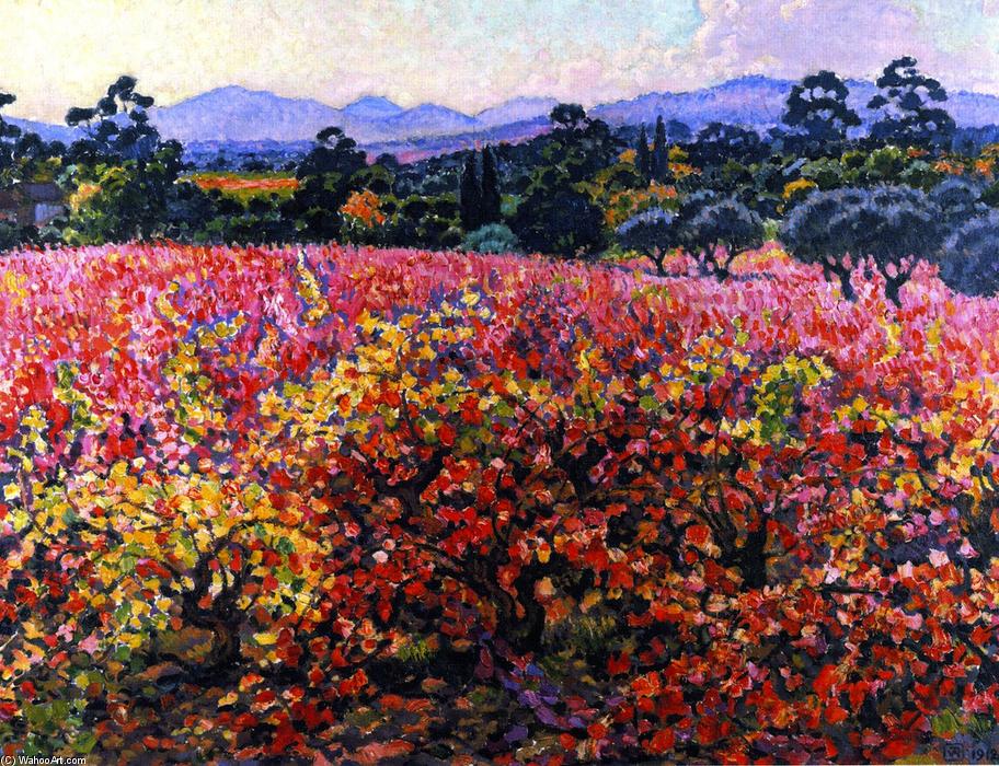 Wikioo.org - The Encyclopedia of Fine Arts - Painting, Artwork by Theo Van Rysselberghe - Vines in October (also known as La Vigne en octobre)