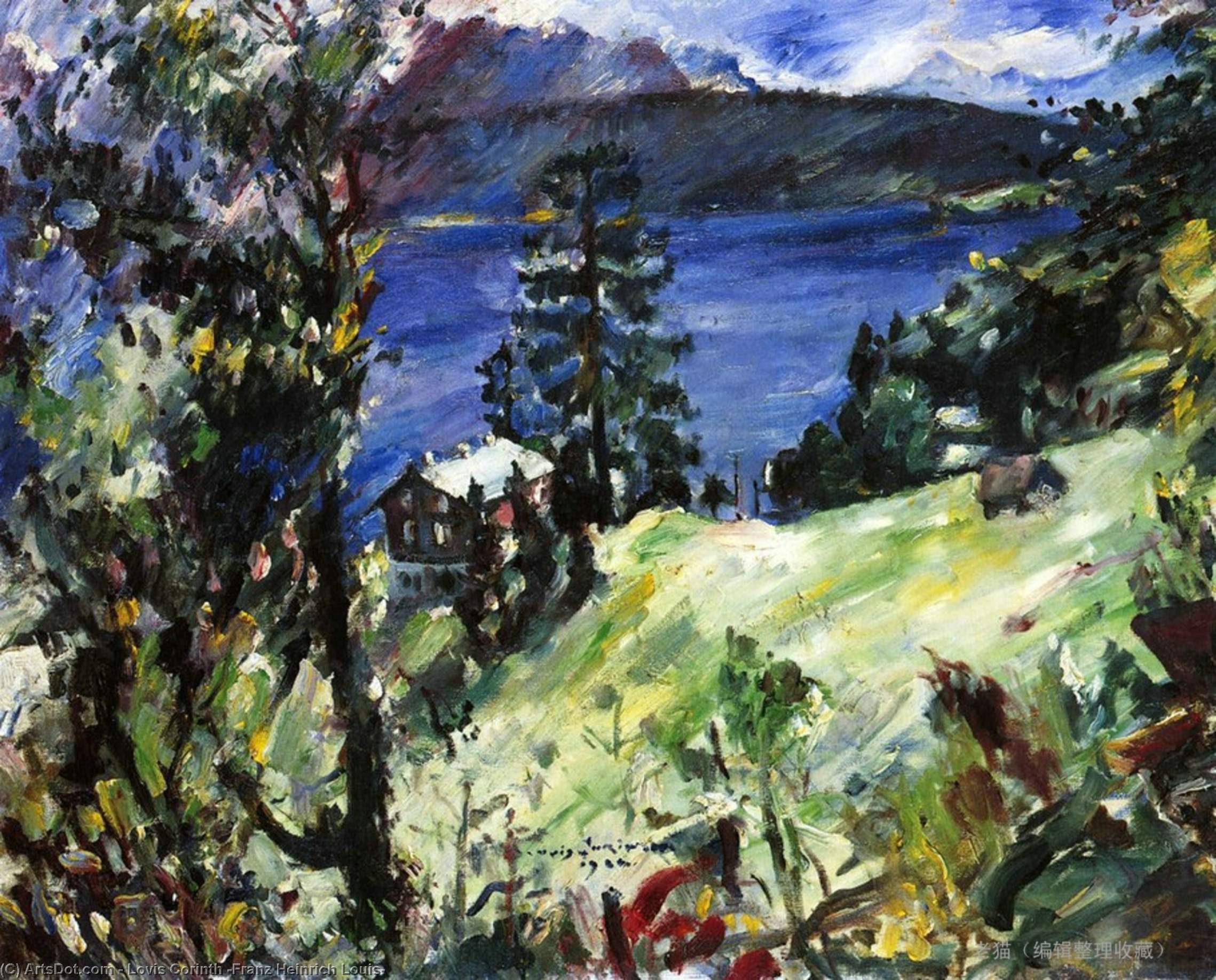Wikioo.org - The Encyclopedia of Fine Arts - Painting, Artwork by Lovis Corinth (Franz Heinrich Louis) - Walchensee Landscape