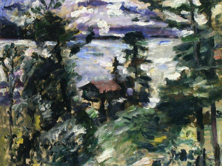 Wikioo.org - The Encyclopedia of Fine Arts - Painting, Artwork by Lovis Corinth (Franz Heinrich Louis) - Walchensee, Morning Fog
