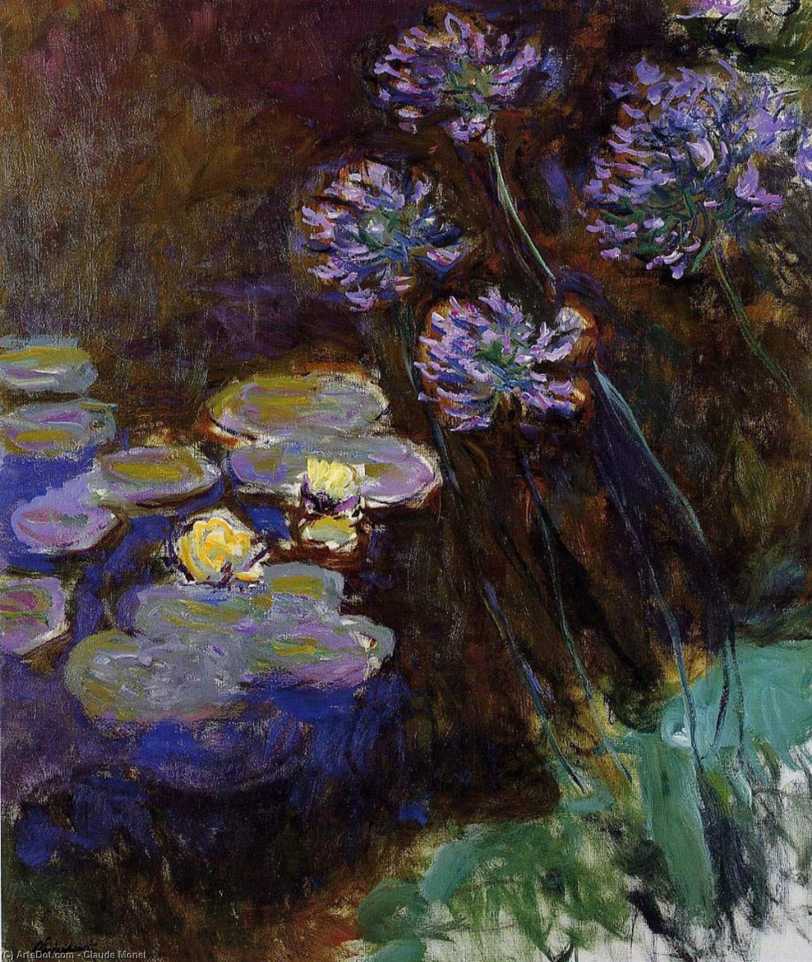Wikioo.org - สารานุกรมวิจิตรศิลป์ - จิตรกรรม Claude Monet - Water-Lilies and Agapanthus