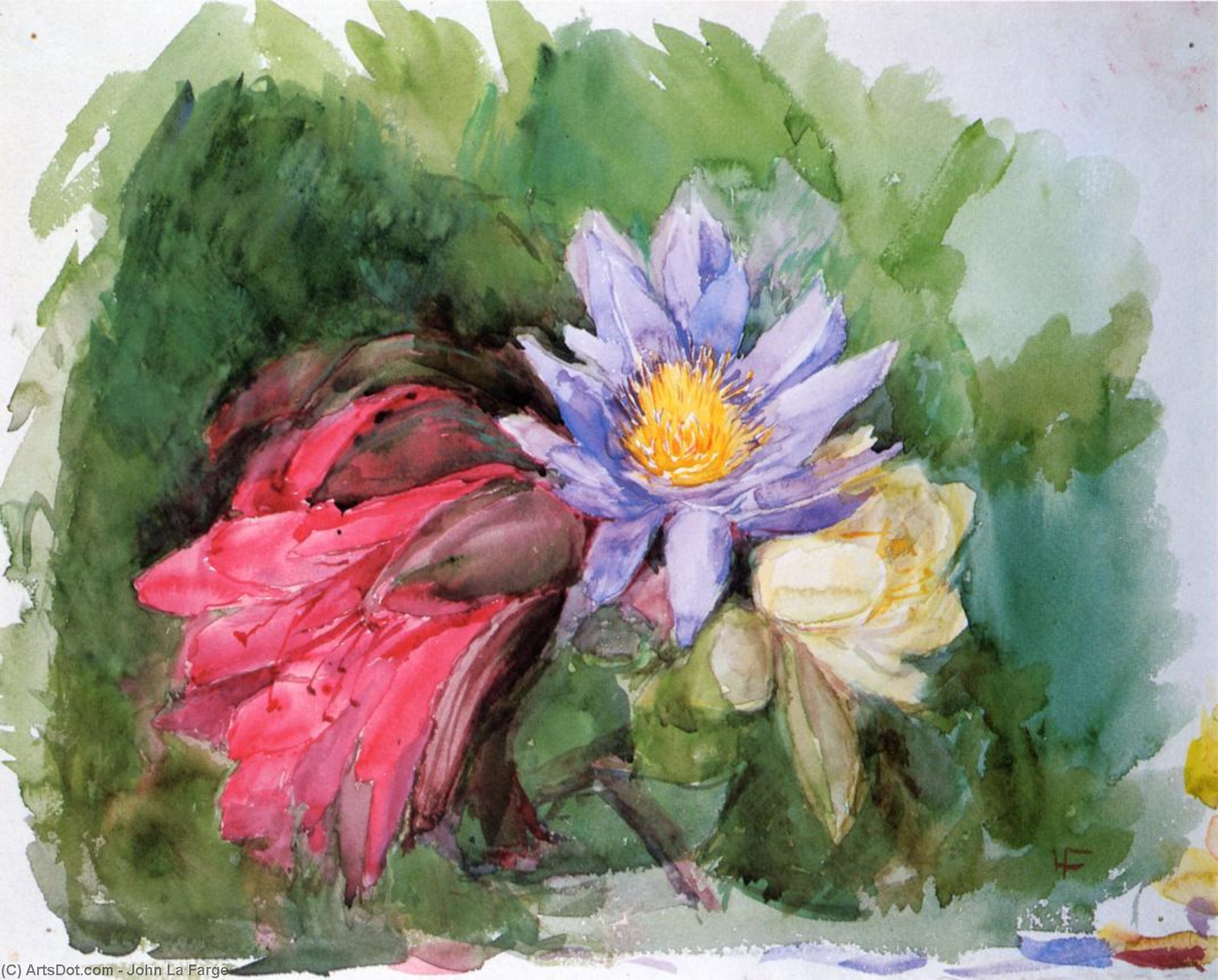 Wikioo.org - The Encyclopedia of Fine Arts - Painting, Artwork by John La Farge - Water Lilies and Hibiscus