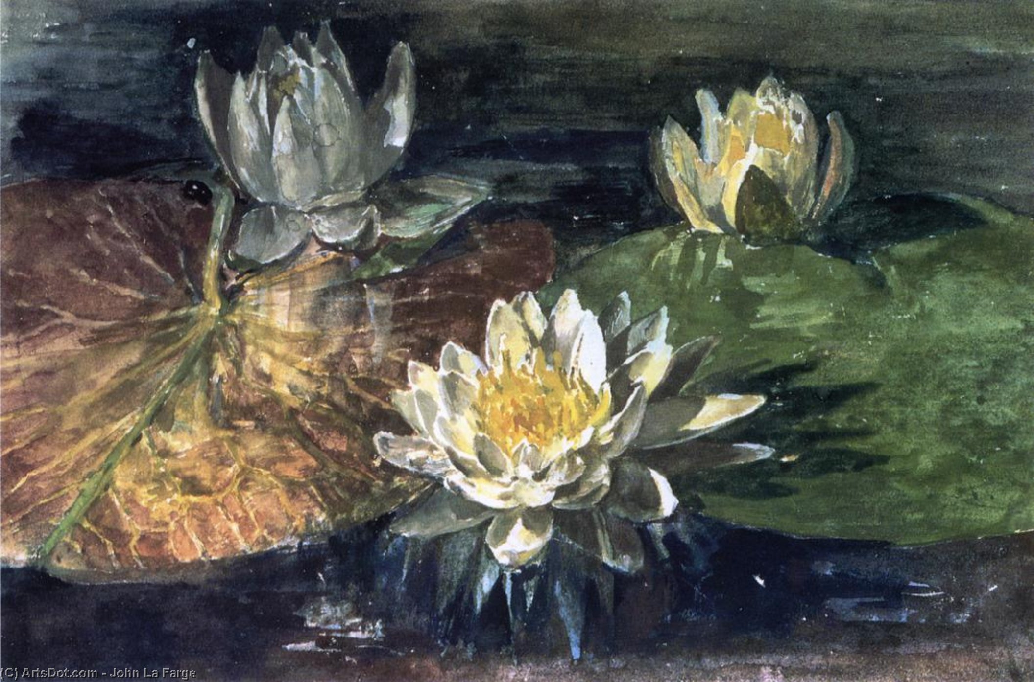 Wikioo.org - The Encyclopedia of Fine Arts - Painting, Artwork by John La Farge - Water-Lilies, Red and Green Pads