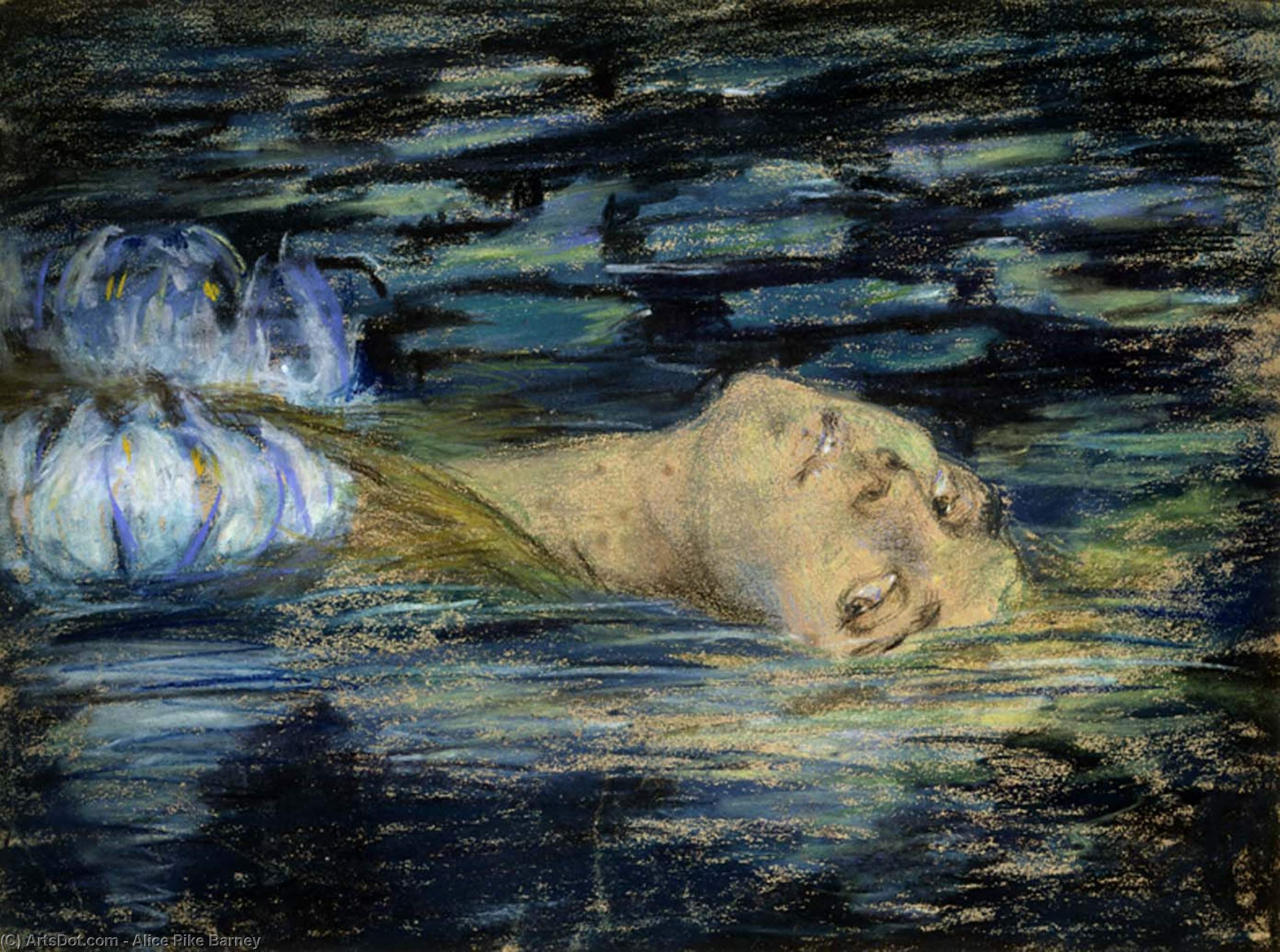 Wikioo.org – La Enciclopedia de las Bellas Artes - Pintura, Obras de arte de Alice Pike Barney - Lirio de agua