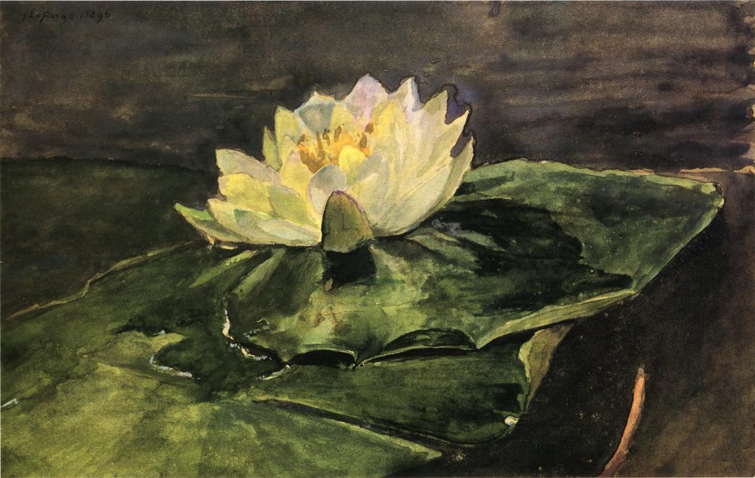 Wikioo.org - The Encyclopedia of Fine Arts - Painting, Artwork by John La Farge - Water Lily