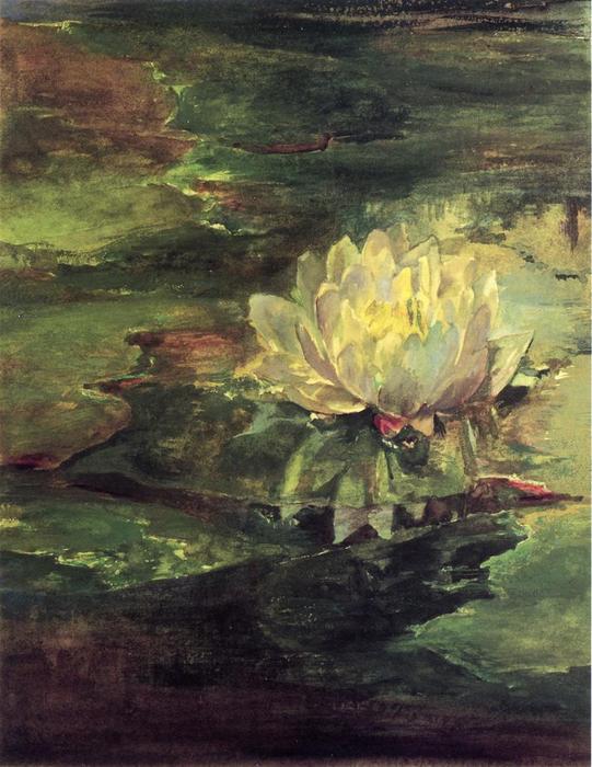 WikiOO.org - אנציקלופדיה לאמנויות יפות - ציור, יצירות אמנות John La Farge - Water Lily Among Pads