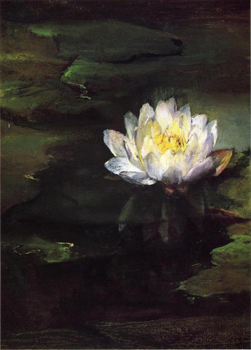 Wikioo.org - The Encyclopedia of Fine Arts - Painting, Artwork by John La Farge - Water-Lily, Study from Nature