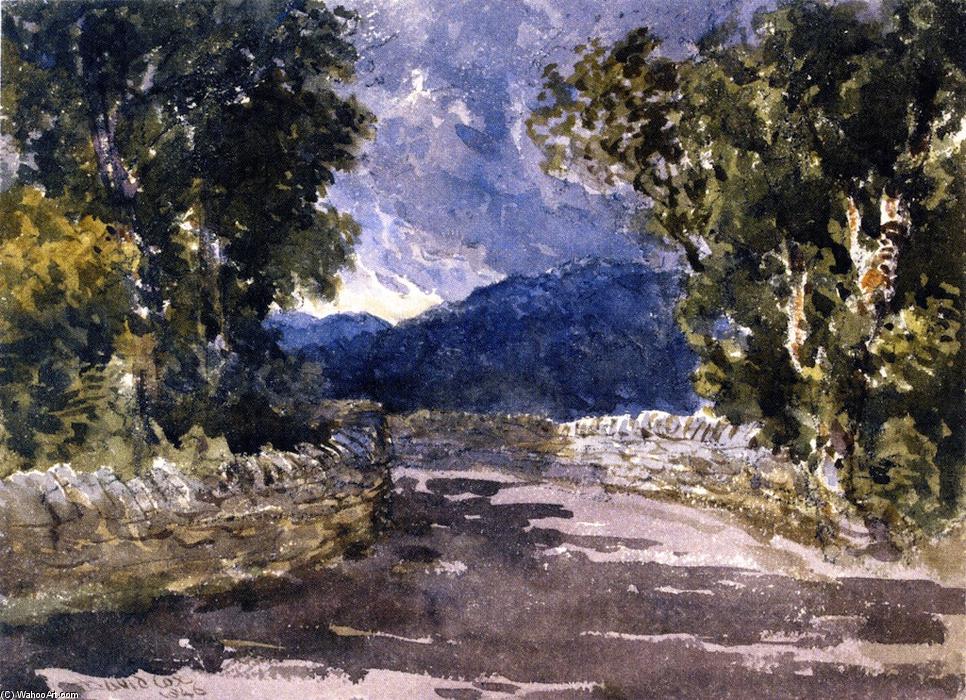 Wikioo.org - The Encyclopedia of Fine Arts - Painting, Artwork by David Cox - A Welsh Road