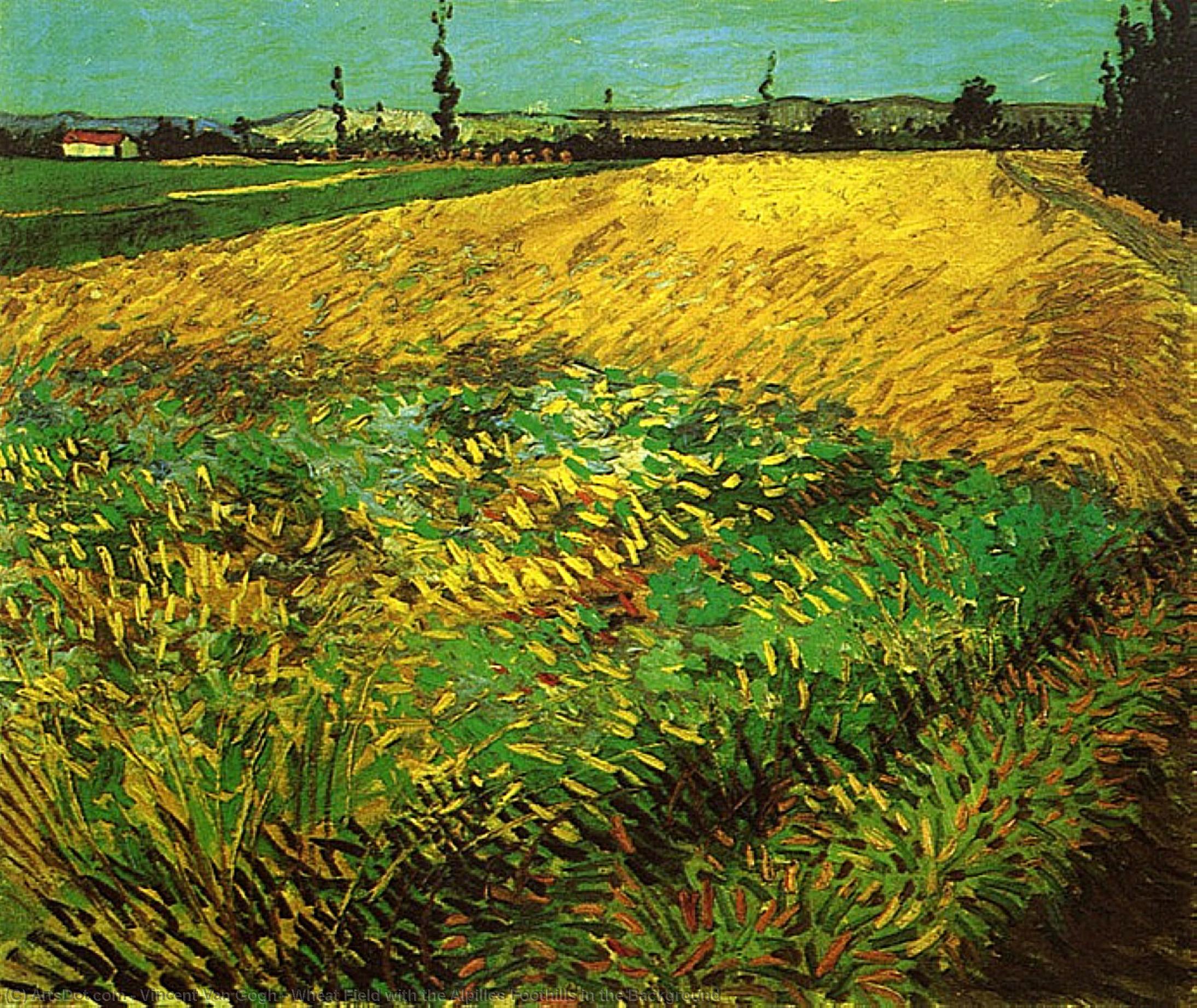 Wikioo.org - The Encyclopedia of Fine Arts - Painting, Artwork by Vincent Van Gogh - Wheat Field with the Alpilles Foothills in the Background