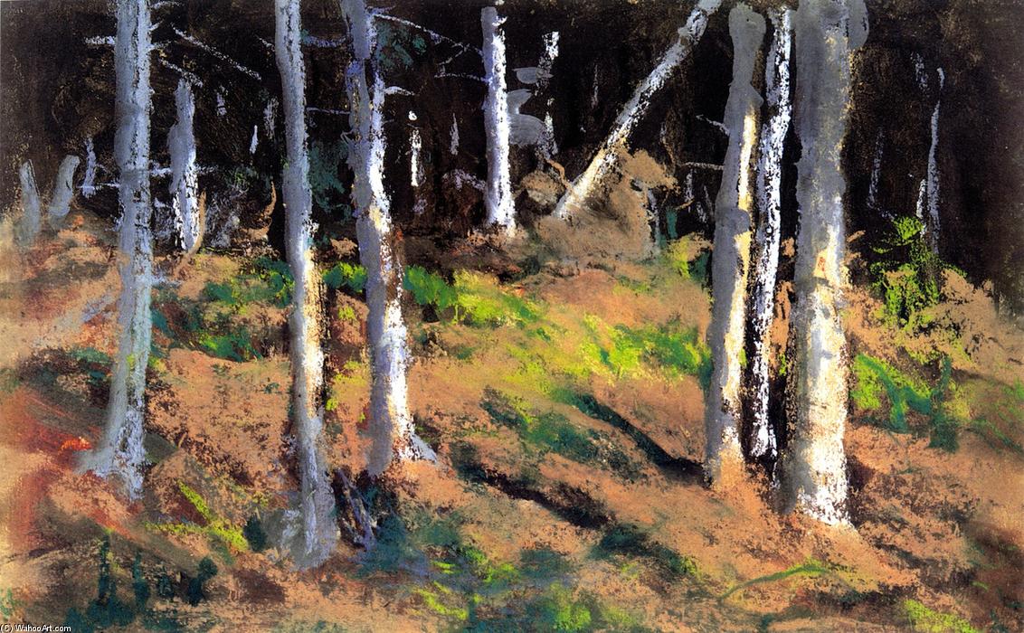 WikiOO.org - Encyclopedia of Fine Arts - Maľba, Artwork Robert Henri - Where the Trees are Dying