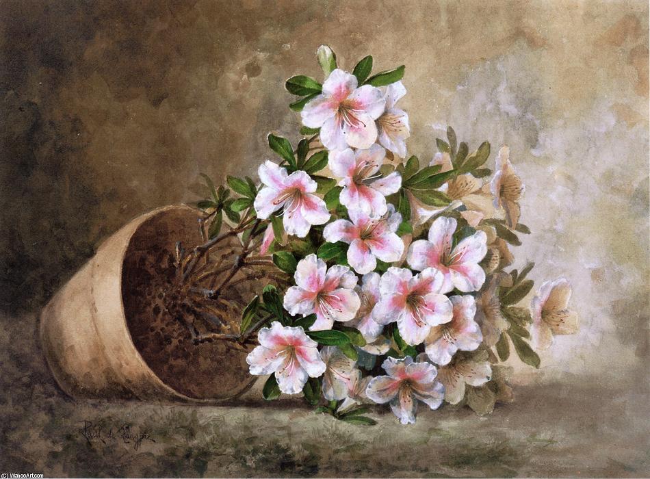 Wikioo.org – L'Encyclopédie des Beaux Arts - Peinture, Oeuvre de Paul De Longpre - BLANCS Azalées  dans  une  fleur  Pot à