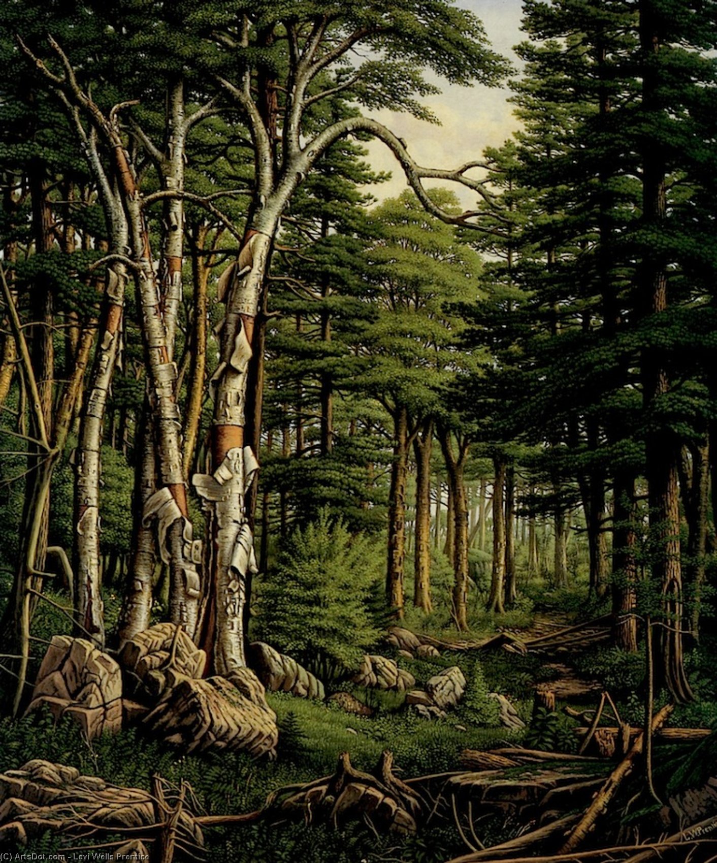 Wikioo.org - Bách khoa toàn thư về mỹ thuật - Vẽ tranh, Tác phẩm nghệ thuật Levi Wells Prentice - White Birches of the Racquette [sie]
