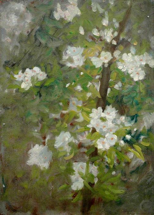 Wikioo.org - The Encyclopedia of Fine Arts - Painting, Artwork by Henry Scott Tuke - White Blossom
