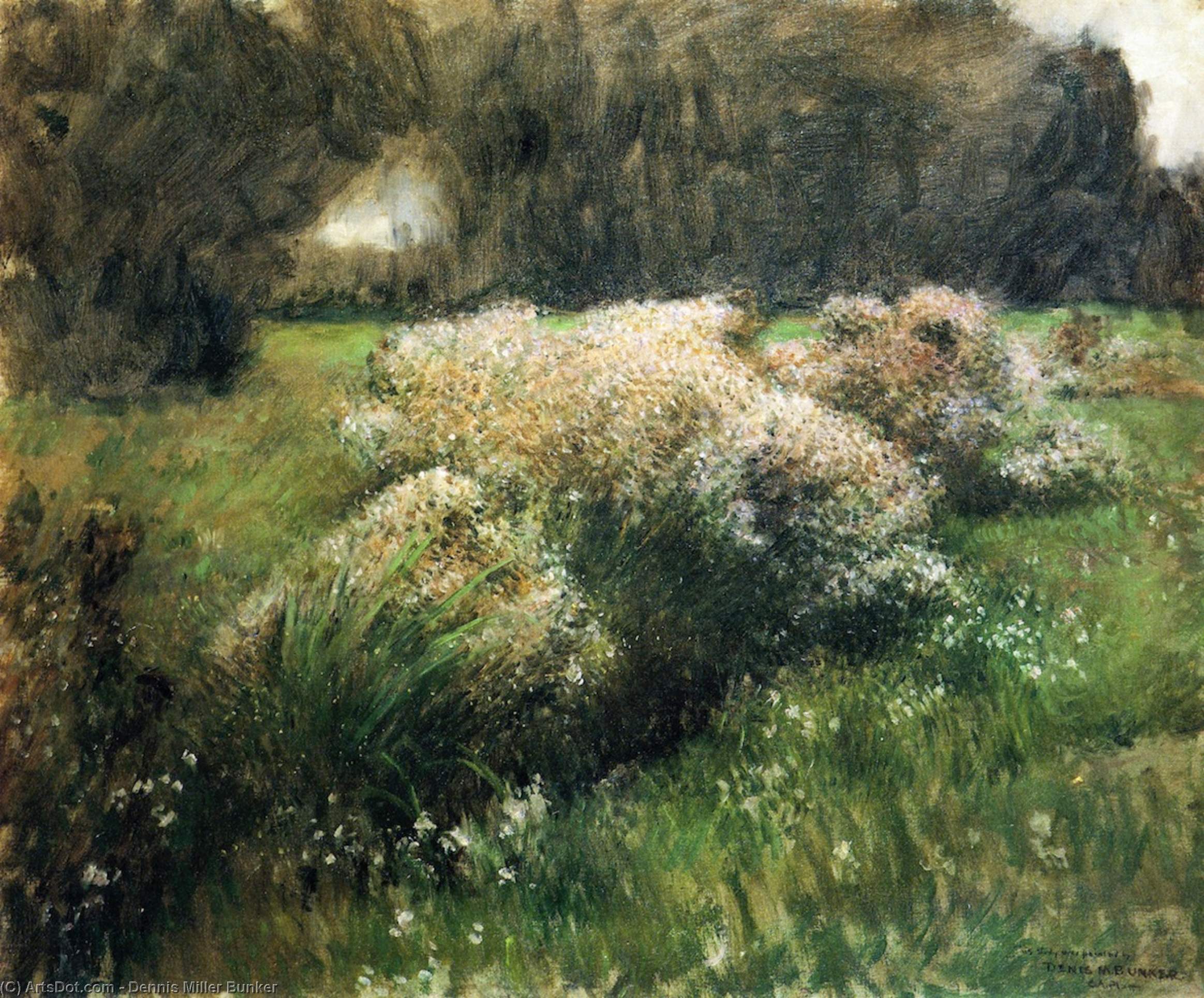 Wikioo.org - The Encyclopedia of Fine Arts - Painting, Artwork by Dennis Miller Bunker - Wild Asters, Study