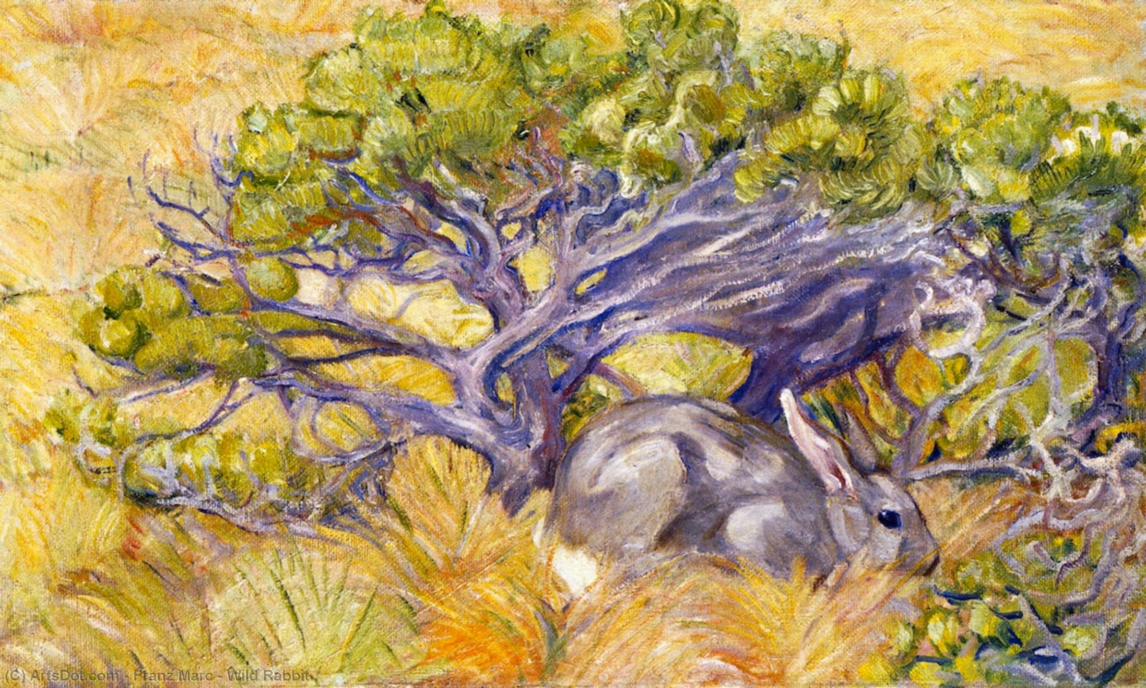 Wikioo.org - The Encyclopedia of Fine Arts - Painting, Artwork by Franz Marc - Wild Rabbit