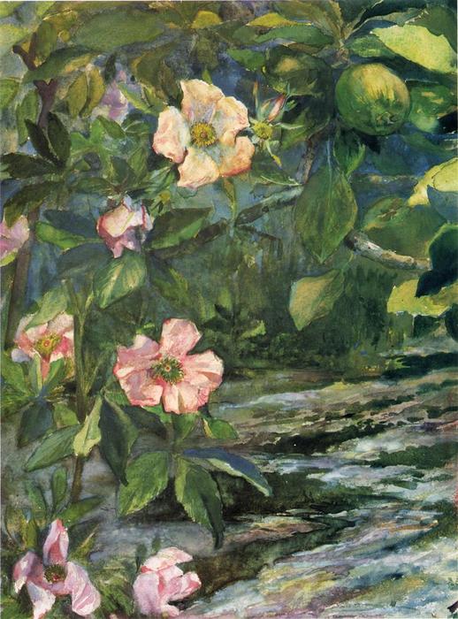 Wikioo.org - The Encyclopedia of Fine Arts - Painting, Artwork by John La Farge - Wild Roses