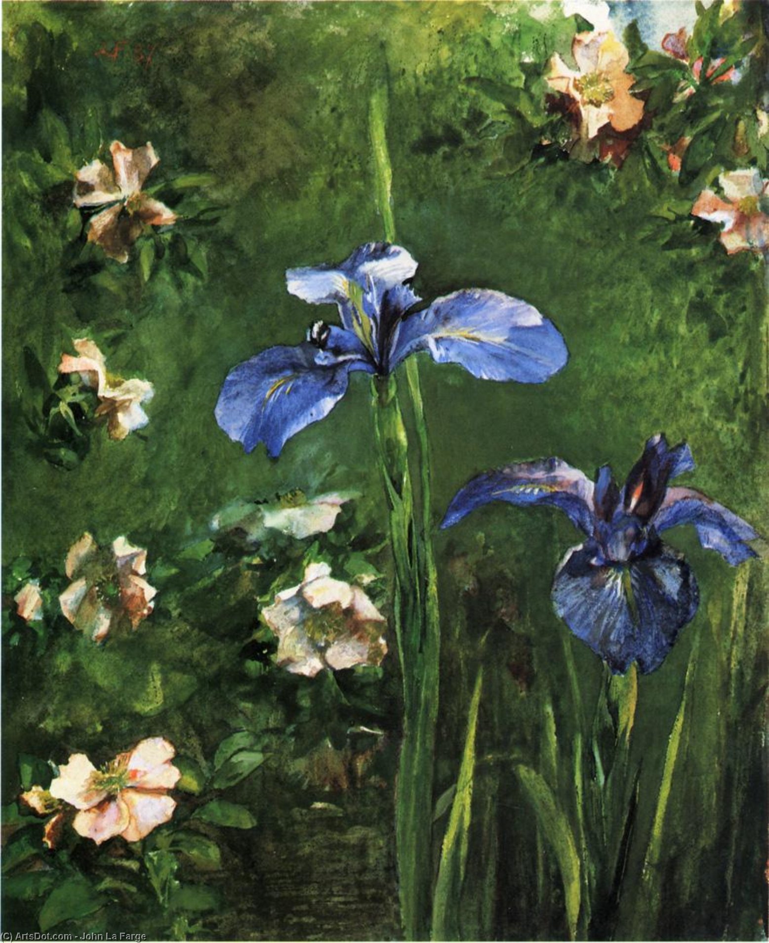 WikiOO.org - Güzel Sanatlar Ansiklopedisi - Resim, Resimler John La Farge - Wild Roses and Irises