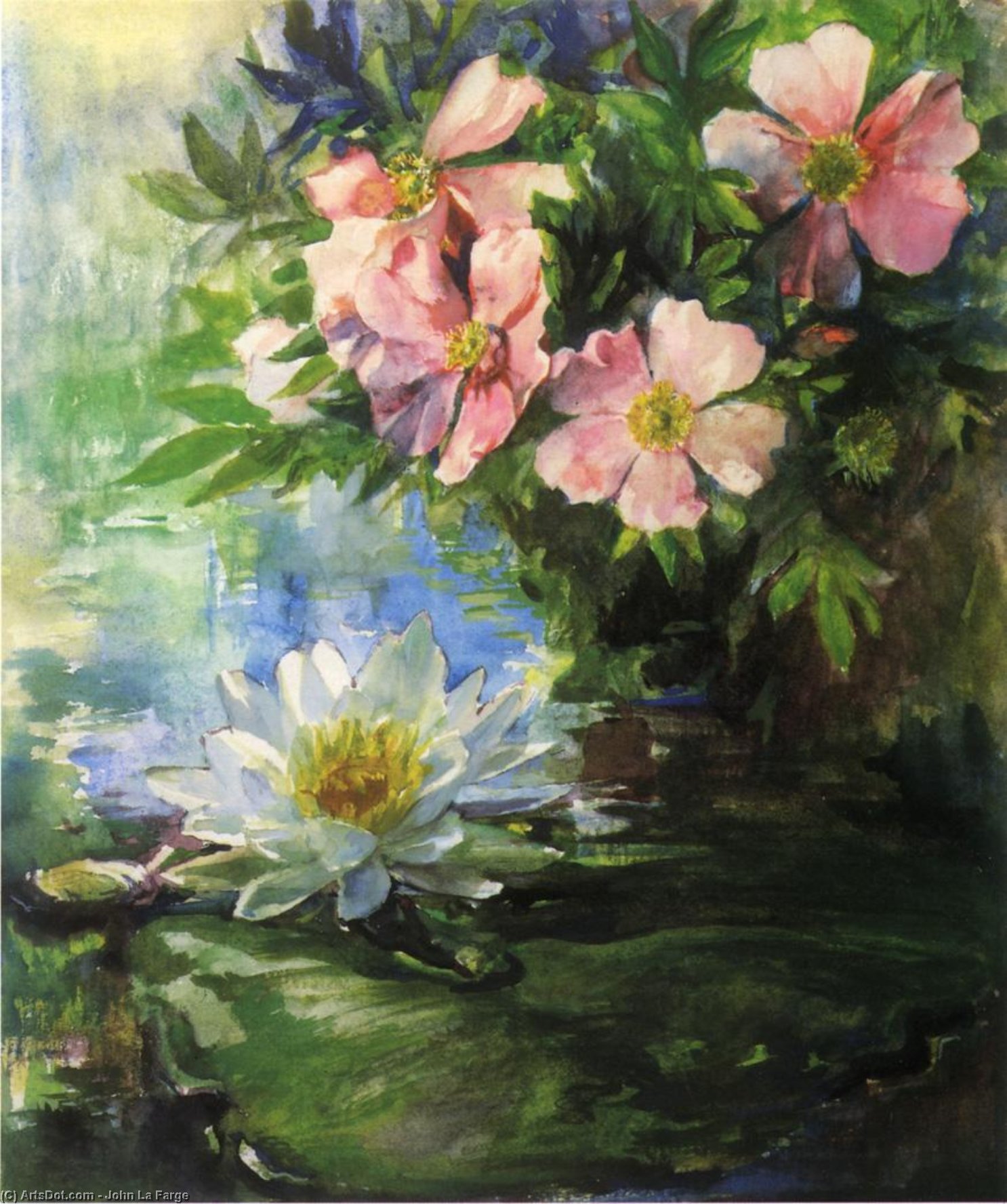 Wikioo.org - The Encyclopedia of Fine Arts - Painting, Artwork by John La Farge - Wild Roses and Water Lily - Study of Sunlight