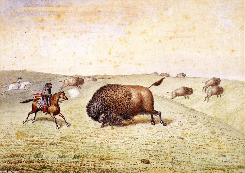 Wikioo.org - The Encyclopedia of Fine Arts - Painting, Artwork by William George Richardson Hind - William Hind Meeting a Buffalo