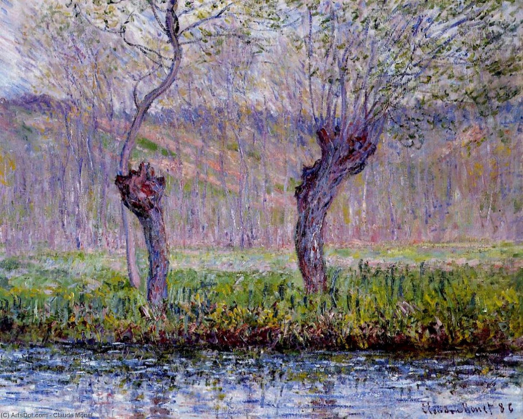 Wikioo.org - The Encyclopedia of Fine Arts - Painting, Artwork by Claude Monet - Willows in Springtime