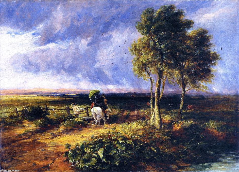 WikiOO.org - Encyclopedia of Fine Arts - Maalaus, taideteos David Cox - Wind, Rain and Sunshine