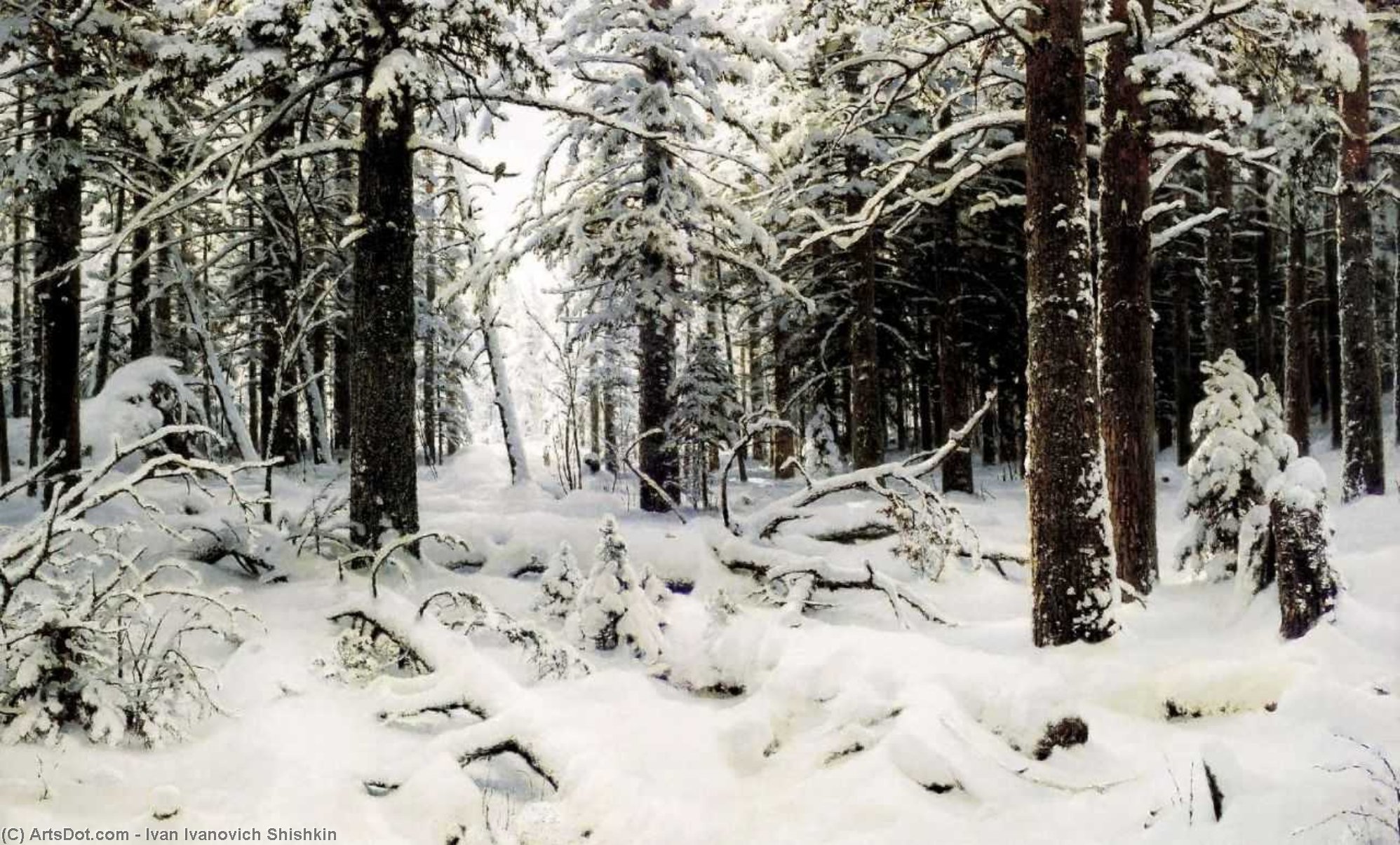 Wikioo.org - The Encyclopedia of Fine Arts - Painting, Artwork by Ivan Ivanovich Shishkin - Winter