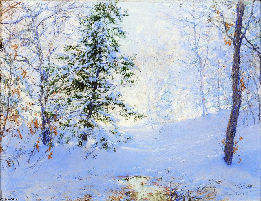 Wikioo.org - The Encyclopedia of Fine Arts - Painting, Artwork by Walter Launt Palmer - Winter Study