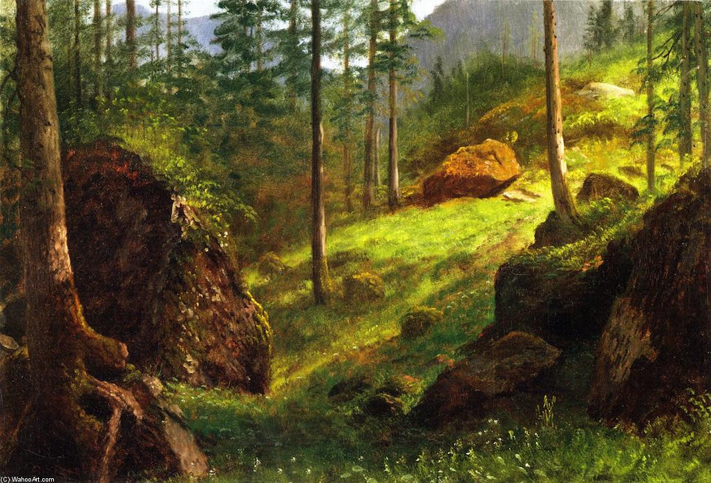 Wikioo.org - สารานุกรมวิจิตรศิลป์ - จิตรกรรม Albert Bierstadt - Wooded Hillside