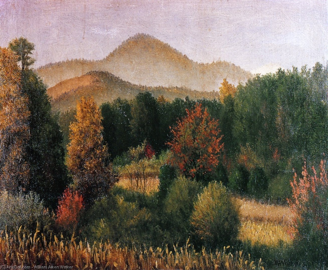 Wikioo.org - The Encyclopedia of Fine Arts - Painting, Artwork by William Aiken Walker - Wooded Mountain Scene in North Carolina