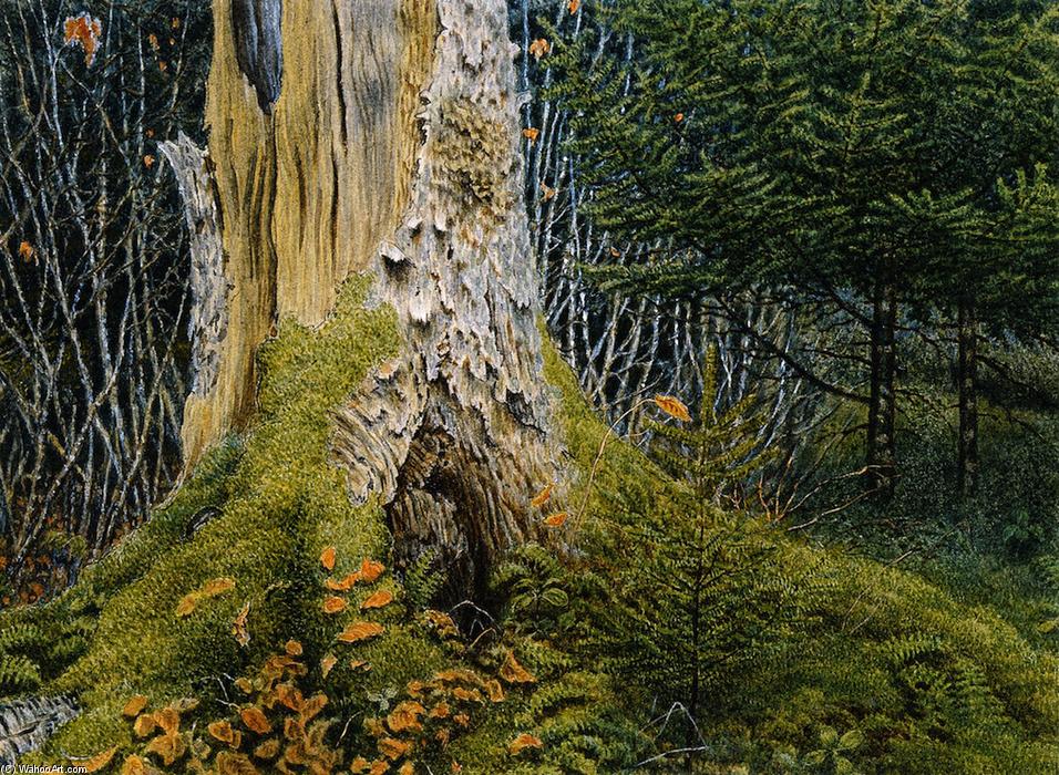 WikiOO.org - Enciklopedija dailės - Tapyba, meno kuriniai William George Richardson Hind - Wood Interior with Tree Stump