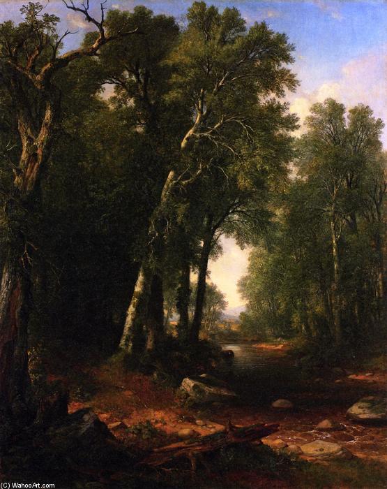 Wikioo.org - The Encyclopedia of Fine Arts - Painting, Artwork by Asher Brown Durand - Woodland Brook