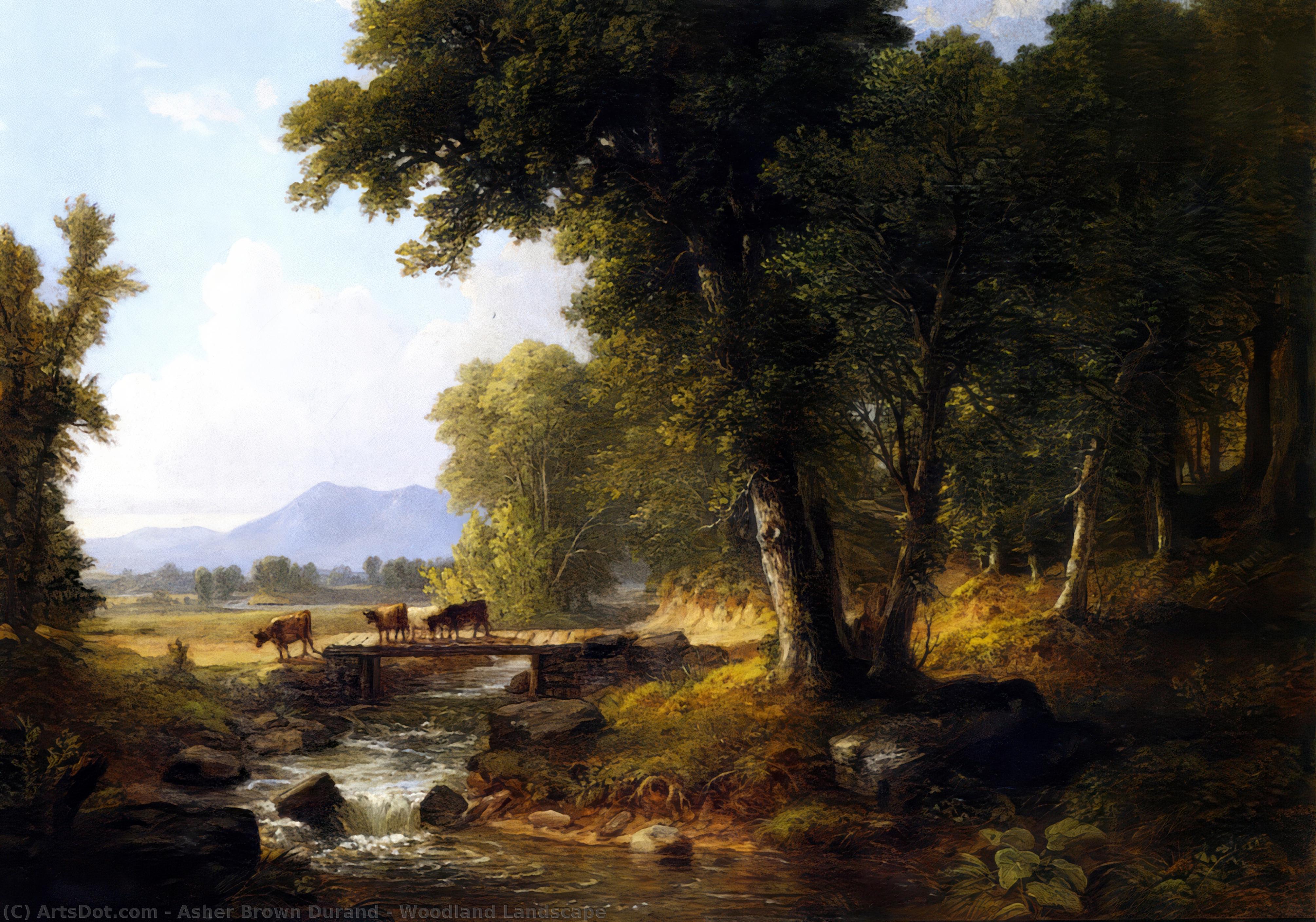 WikiOO.org - Енциклопедия за изящни изкуства - Живопис, Произведения на изкуството Asher Brown Durand - Woodland Landscape