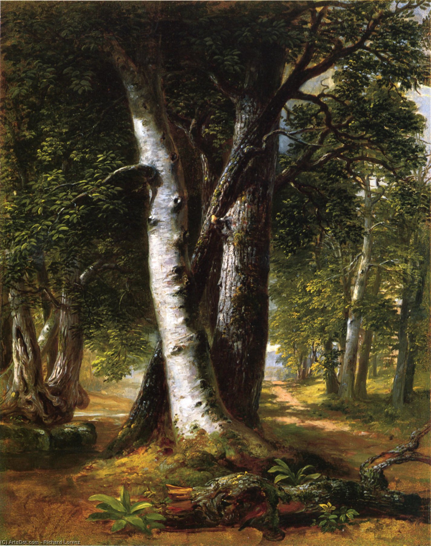 WikiOO.org - Encyclopedia of Fine Arts - Maalaus, taideteos Richard Lorenz - Woodland Path