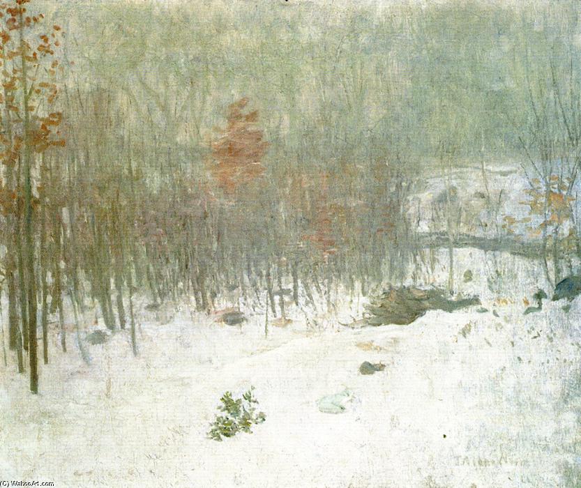 Wikioo.org - The Encyclopedia of Fine Arts - Painting, Artwork by Julian Alden Weir - Woods in Snow