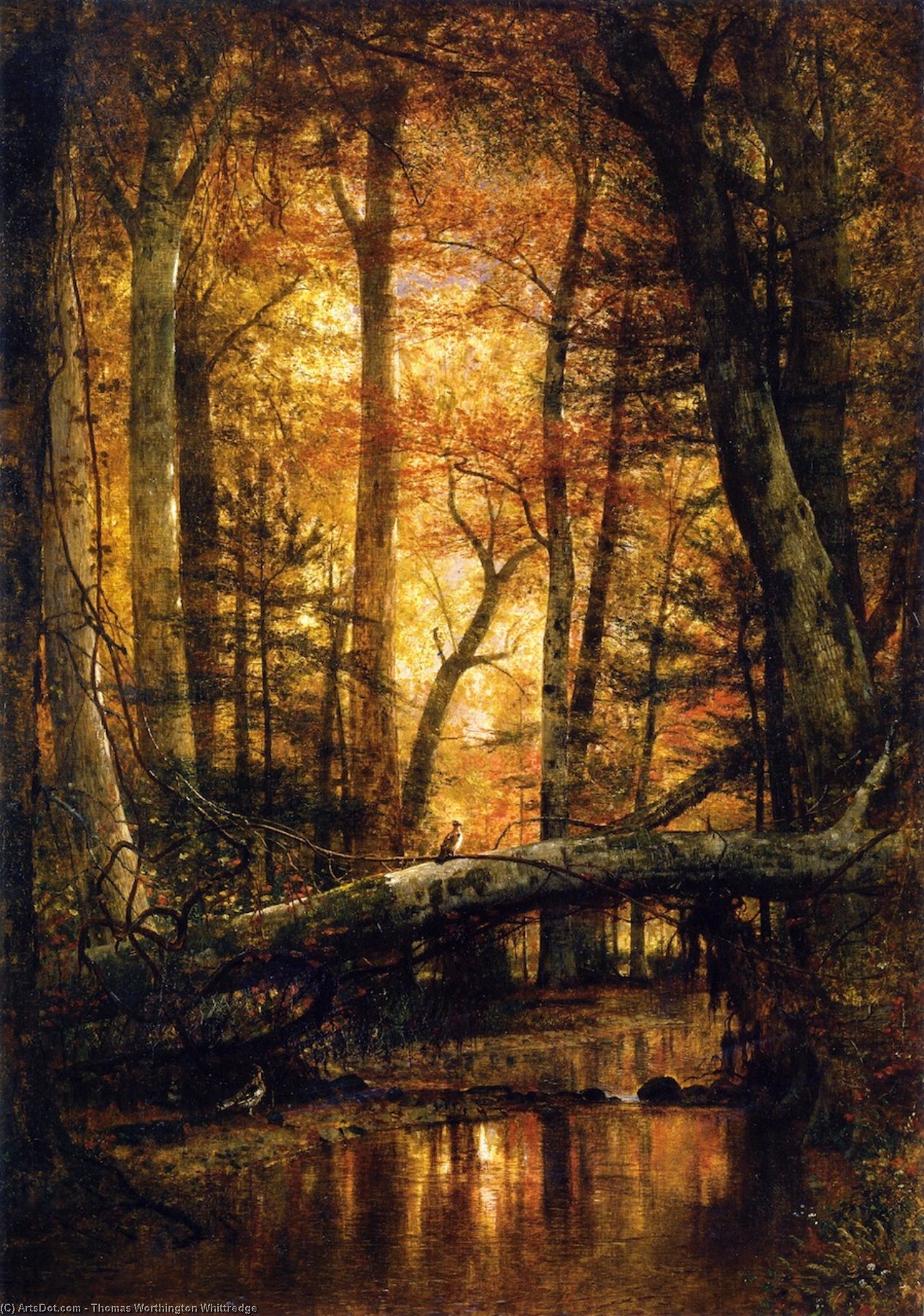 WikiOO.org - אנציקלופדיה לאמנויות יפות - ציור, יצירות אמנות Thomas Worthington Whittredge - Woods of Ashokan