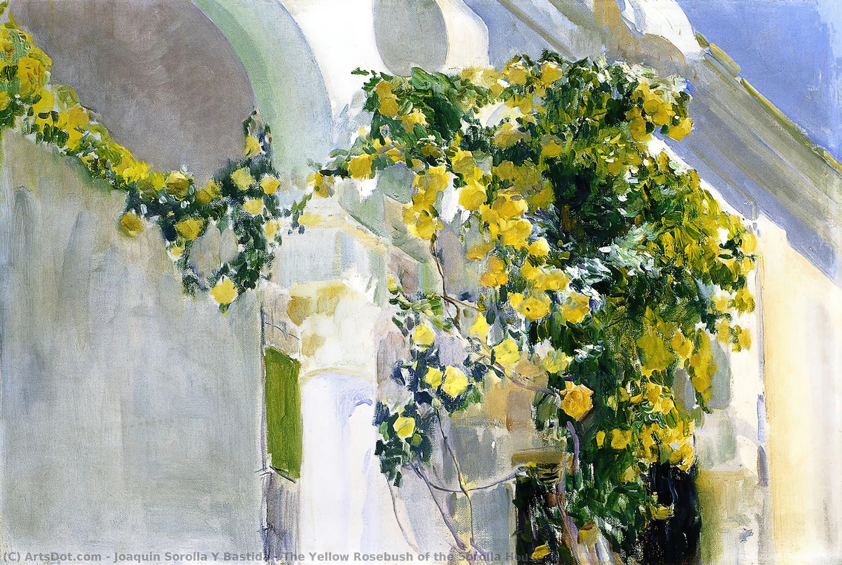 WikiOO.org - Enciclopédia das Belas Artes - Pintura, Arte por Joaquin Sorolla Y Bastida - The Yellow Rosebush of the Sorolla House