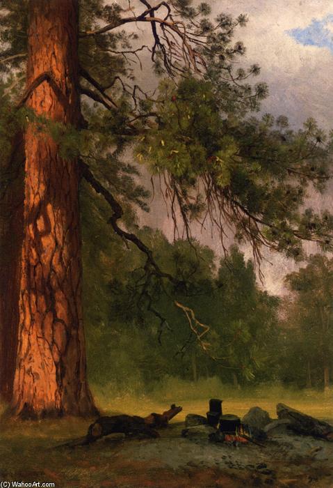 WikiOO.org - Encyclopedia of Fine Arts - Lukisan, Artwork Albert Bierstadt - Yosemite Camp Kitchen