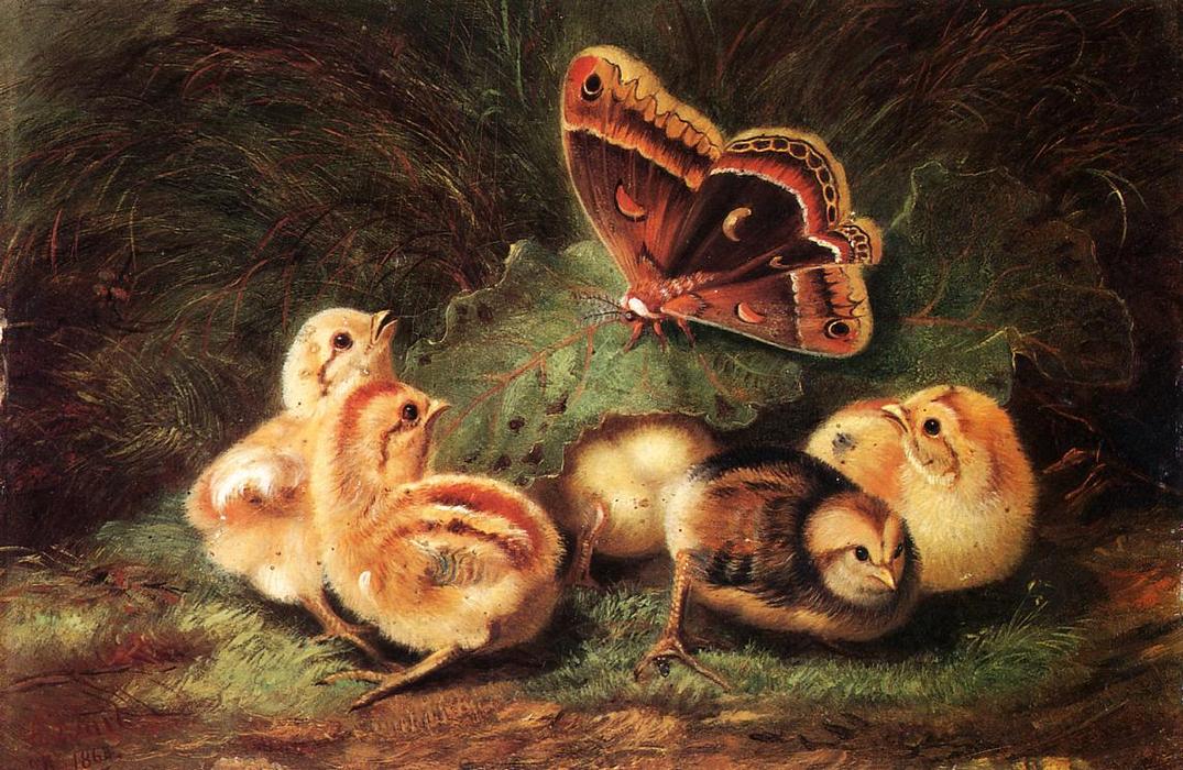 Wikioo.org - The Encyclopedia of Fine Arts - Painting, Artwork by Arthur Fitzwilliam Tait - Young Chickens