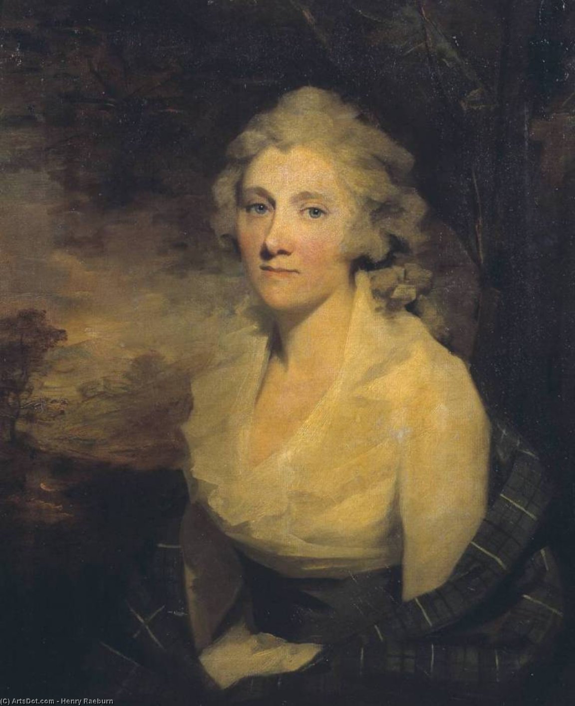 Wikioo.org - The Encyclopedia of Fine Arts - Painting, Artwork by Henry Raeburn - A Young Lady