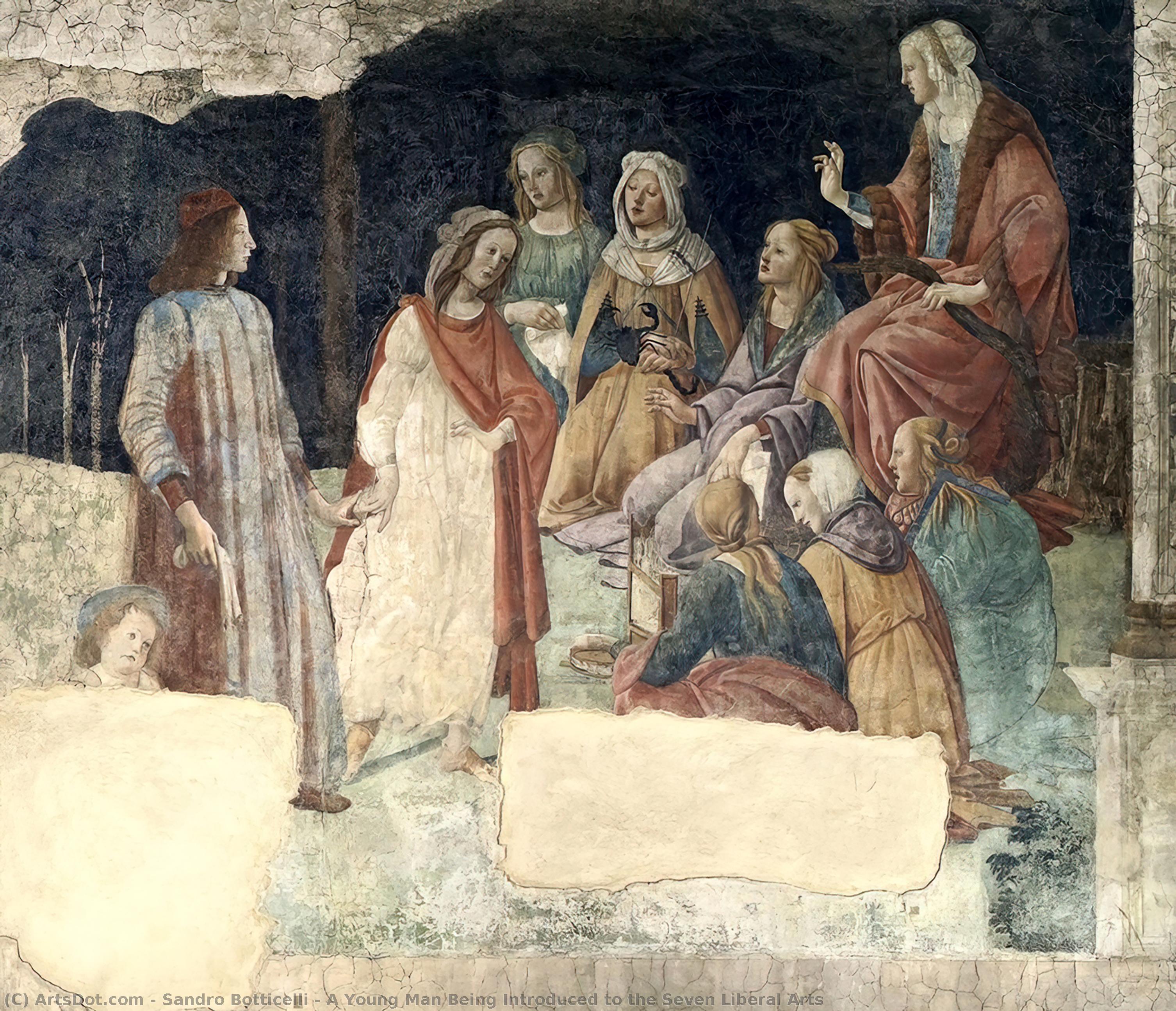 Wikioo.org – L'Enciclopedia delle Belle Arti - Pittura, Opere di Sandro Botticelli - Un Giovane Uomo in fase di introduzione ai Sette Arti Liberali