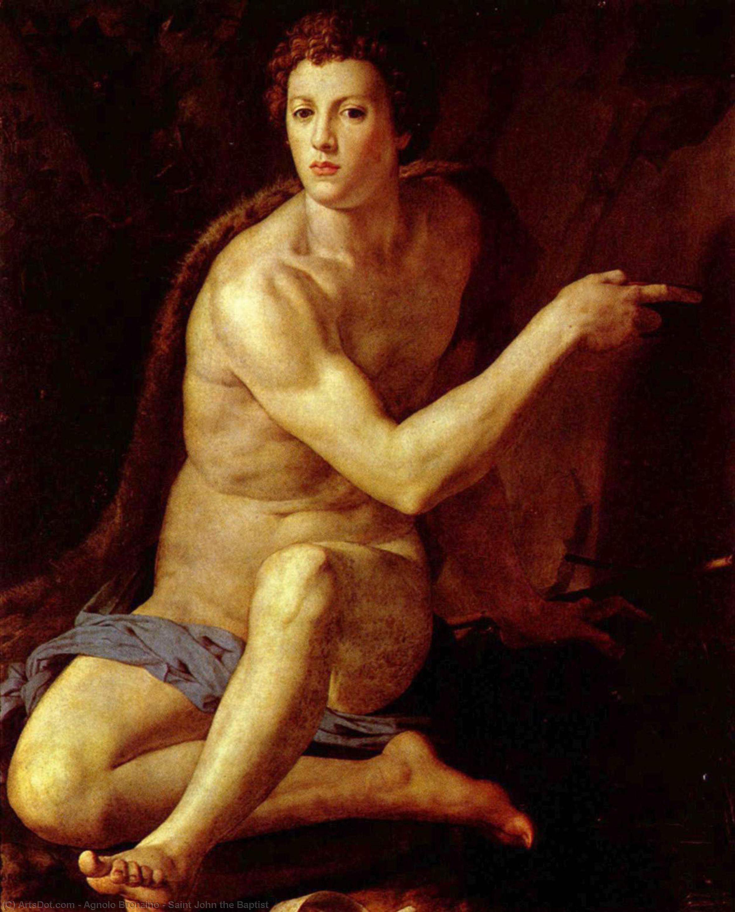 Wikioo.org - The Encyclopedia of Fine Arts - Painting, Artwork by Agnolo Bronzino - Saint John the Baptist