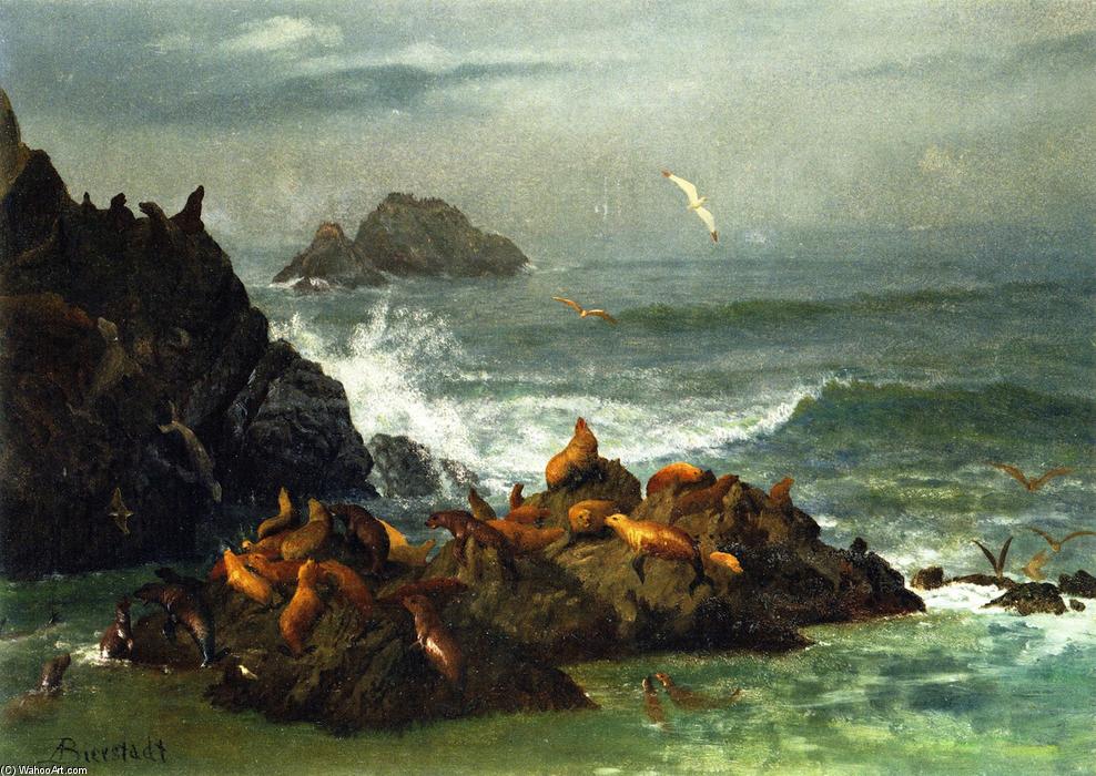 Wikioo.org - The Encyclopedia of Fine Arts - Painting, Artwork by Albert Bierstadt - Seal Rocks, Pacific Ocean, California