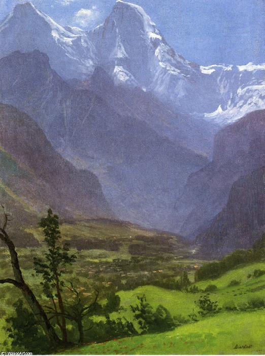 Wikioo.org - The Encyclopedia of Fine Arts - Painting, Artwork by Albert Bierstadt - Twin Peaks, Rockies