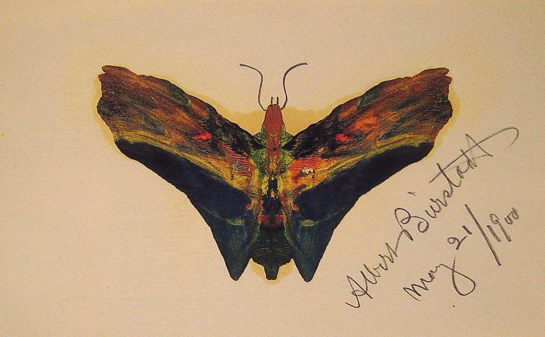 Wikoo.org - موسوعة الفنون الجميلة - اللوحة، العمل الفني Albert Bierstadt - Butterfly (second version)