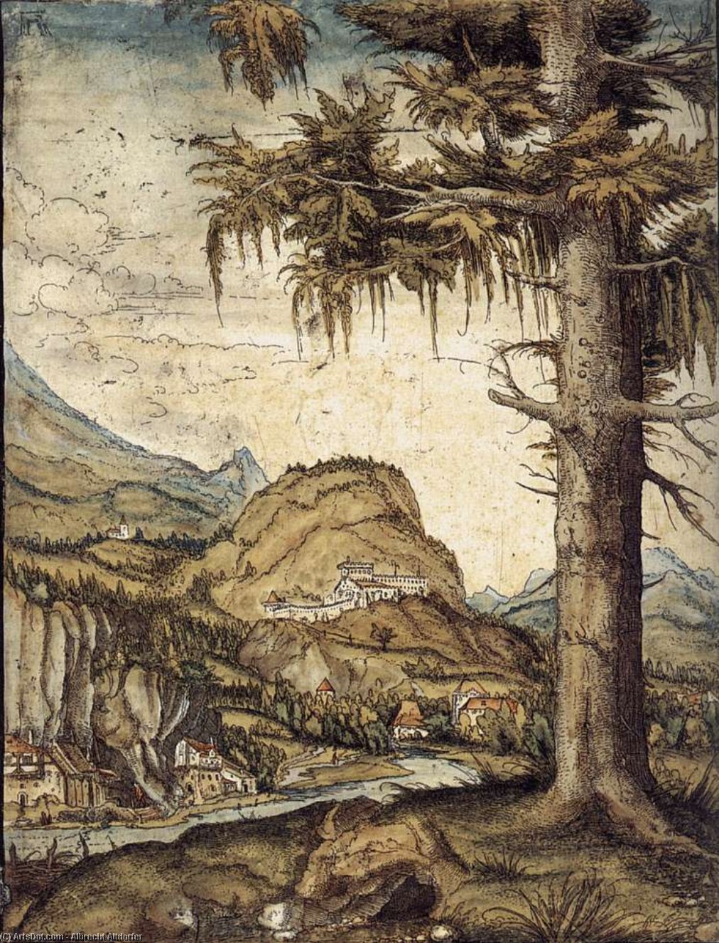 WikiOO.org - Encyclopedia of Fine Arts - Schilderen, Artwork Albrecht Altdorfer - The Large Spruce