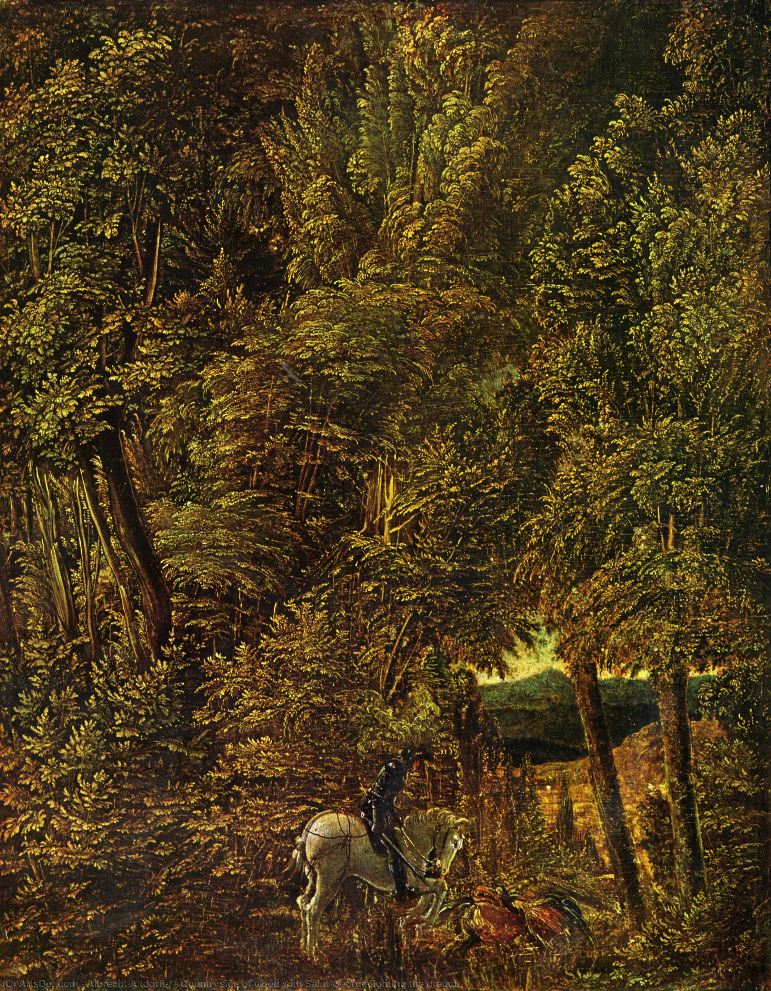 Wikioo.org - The Encyclopedia of Fine Arts - Painting, Artwork by Albrecht Altdorfer - Countryside of wood with Saint George fighting the dragon