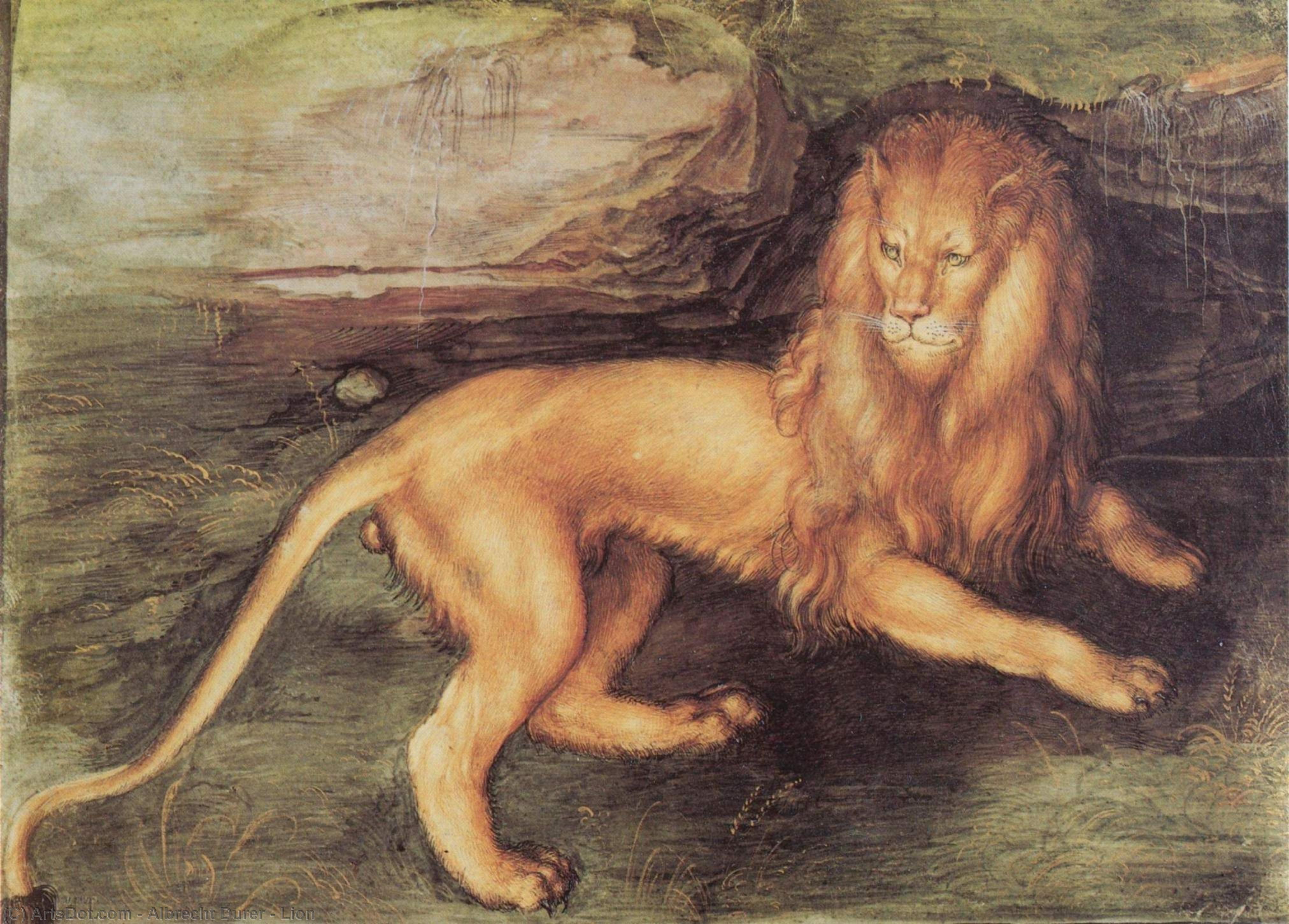 WikiOO.org - Enciclopédia das Belas Artes - Pintura, Arte por Albrecht Durer - Lion