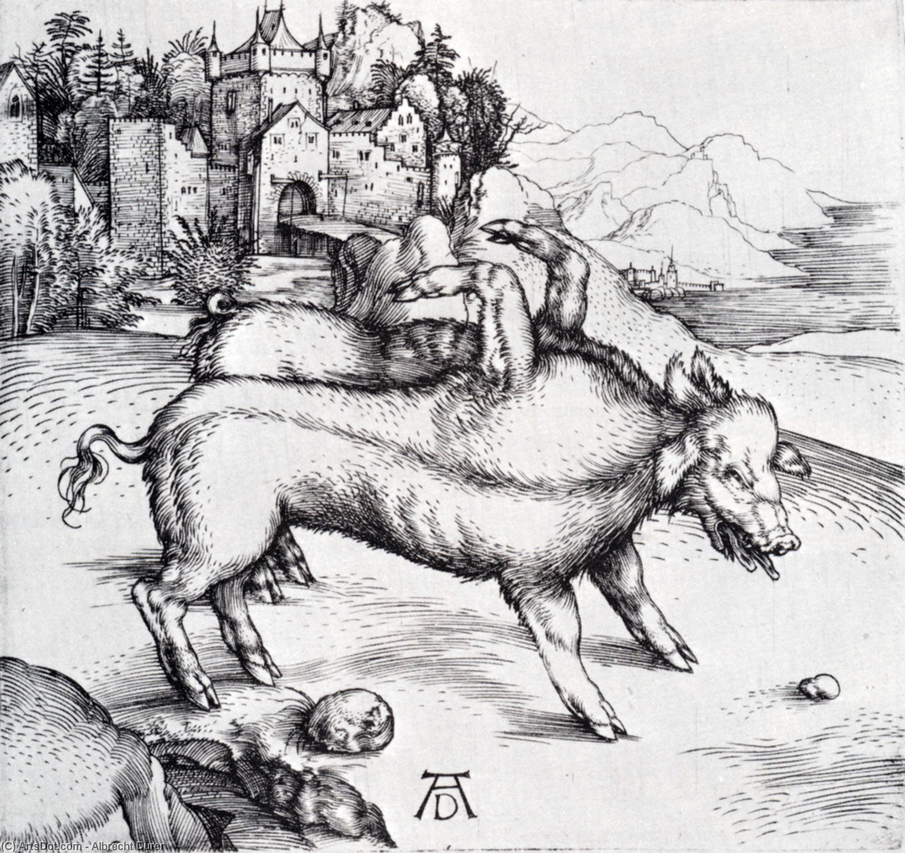 Wikioo.org – La Enciclopedia de las Bellas Artes - Pintura, Obras de arte de Albrecht Durer - Monstruoso Cerdo de landser